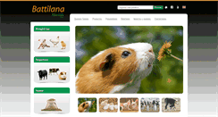 Desktop Screenshot of battilana.biz